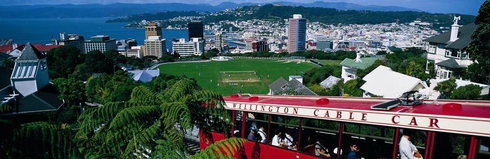 Cuộc sống tại Wellington - Ảnh 1